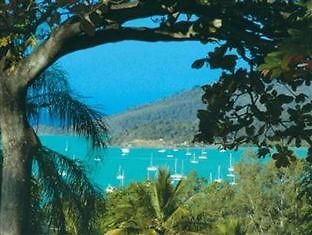 Whitsunday Organic Bed & Breakfast Airlie Beach Exterior photo